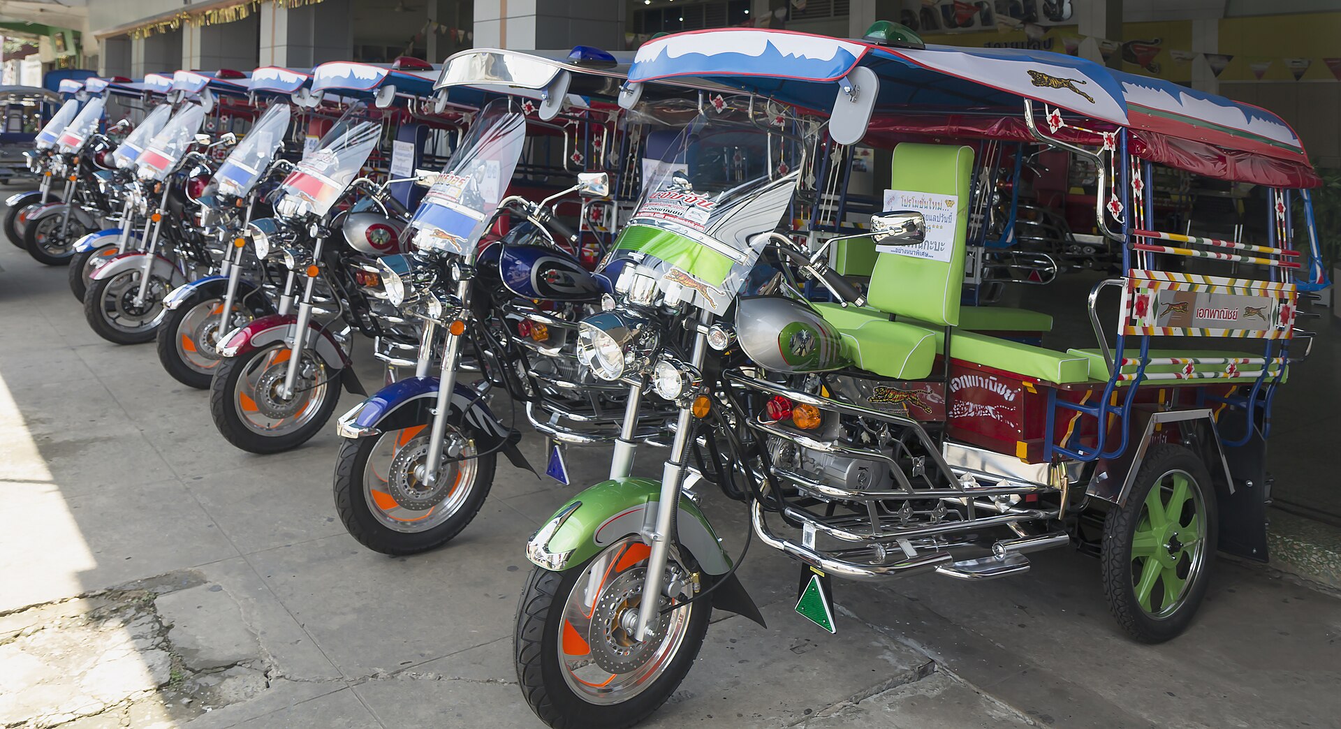 WEGO P5012